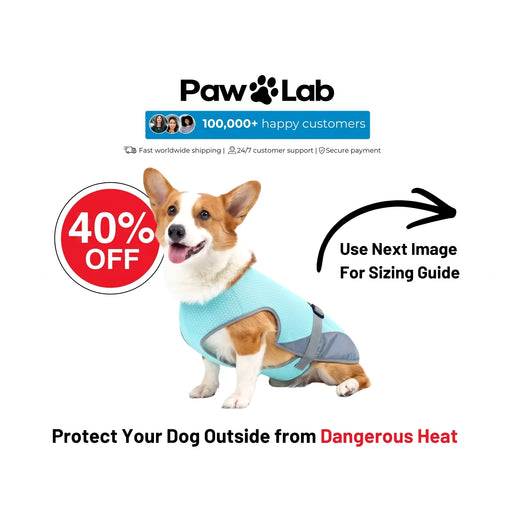 Summer Pet Outdoor Breathable Cooling Vest