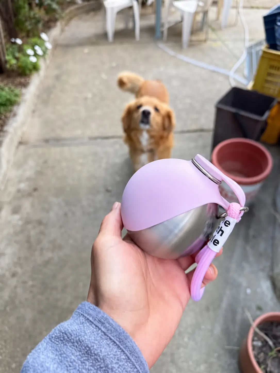 Customer holding the PawCoop dog water bottle in pink