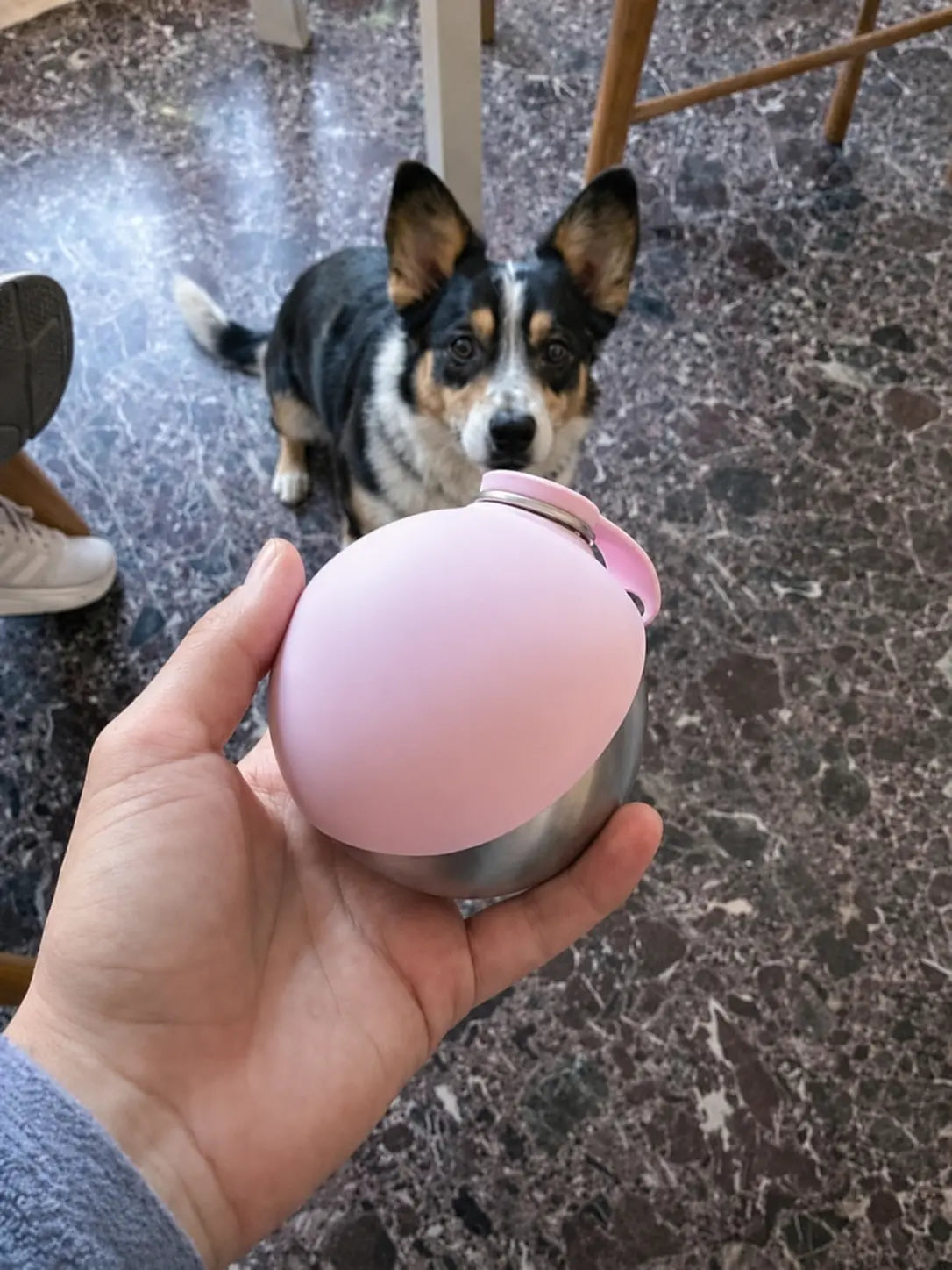 PawCoop foldable dog water bottle product image